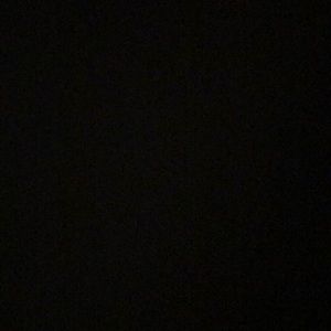 Meet your Posher, Lizzy